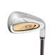 Айрони XXIO PRIME ROYAL EDITION 6 Ladies сет 6 шт (#7-9, PW, AW, SW) XXIO PRIME RE 6 I L фото 1
