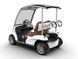 Гольфкар GARIA Golf 2 (2-местный) GG-2-WH фото 2